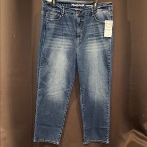 Wallflower Fearless Curvy Super High Rise Straight, Insta Vintage, Size 18W